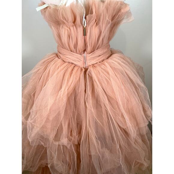 Bronx and Banco Anna Pink Tiered Tulle Maxi Dress Size Medium - Picture 11 of 16
